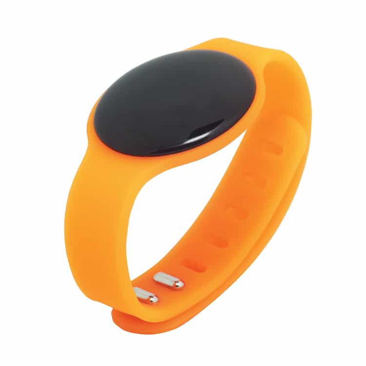 tmband.jpg